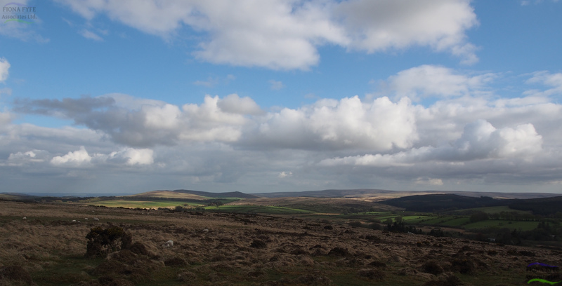 Dartmoor Historic Environment Character Assessment</h1><h2 class='entry-subtitle'>With University of Leicester Archaeological Services and Countryscape (2014)</h2>