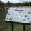 Design of Interpretation Panel for Fair Green, Diss, Norfolk