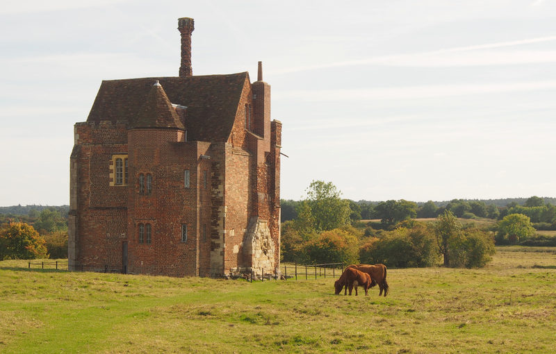 Historic Environment Characterisation for Secrets of the Sands: The Greensand Country Landscape Partnership</h1><h2 class='entry-subtitle'>With Albion Archaeology and Alison Farmer Associates (2016)</h2>