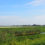 Landscape Character Assessment for the Isle of Axholme and Hatfield Chase Landscape Partnership
