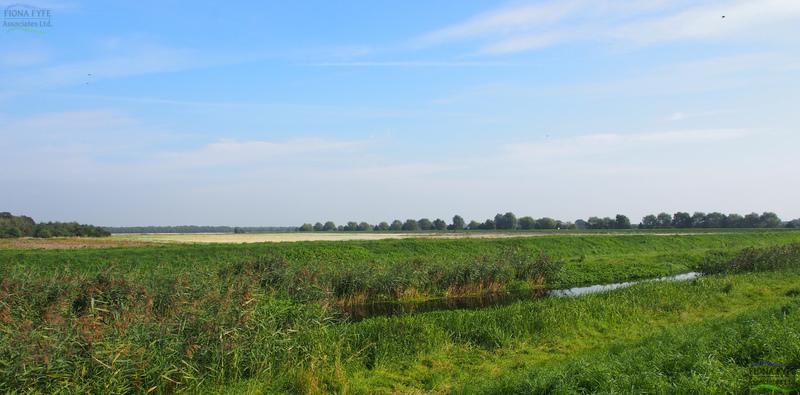 Landscape Character Assessment for the Isle of Axholme and Hatfield ...