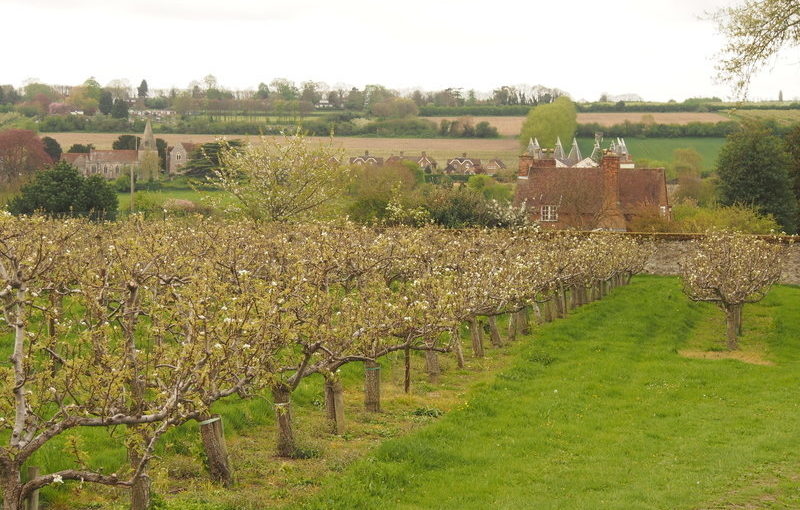 Medway Valley Strategic Landscape Enhancement Plan</h1><h2 class='entry-subtitle'>With Robin Lines Landscape (2015)</h2>