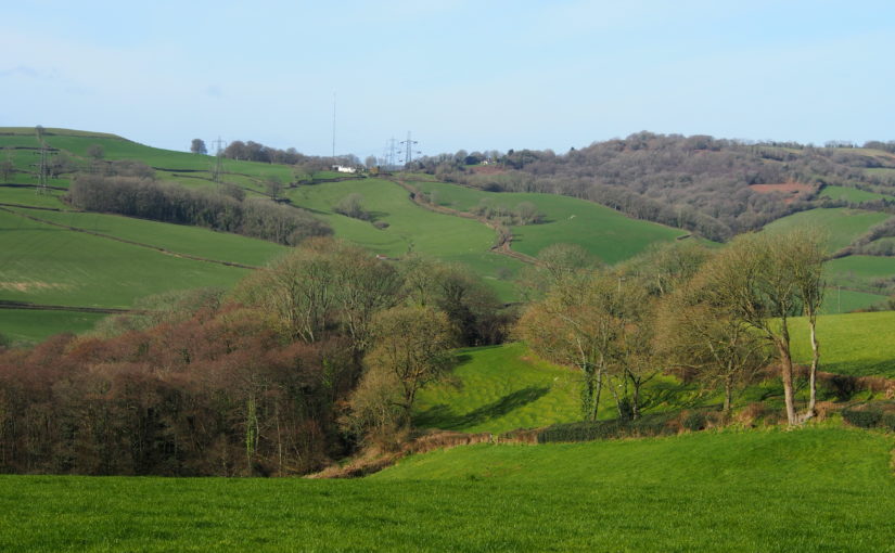 Blackdown Hills Landscape Enhancement Initiative</h1><h2 class='entry-subtitle'>For Blackdown Hills AONB (2017)</h2>