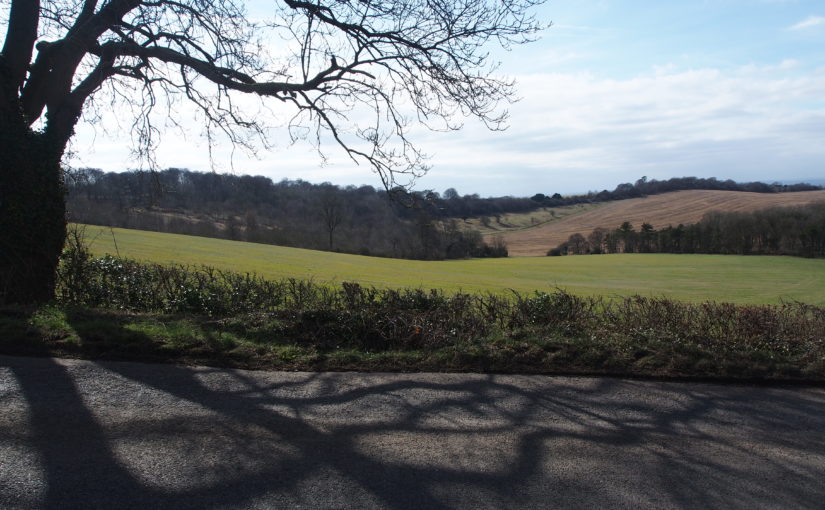 A Chilterns View