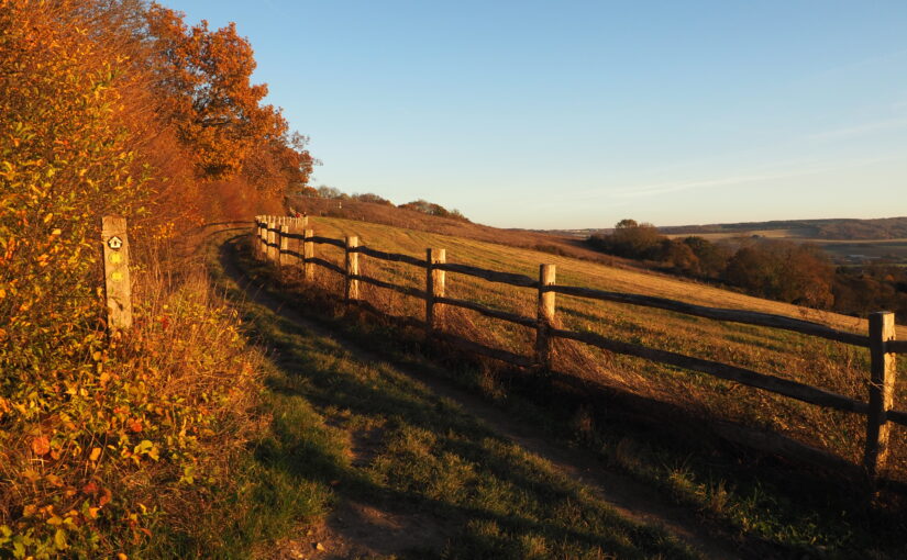 A footpath along the edge of the downs during golden hour. Woodland on the left and a grassy slope descending to the right.
