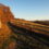 Landscape Character Assessment and Landscape Implementation Plan for Kent Woods and Downs Candidate National Nature Reserve