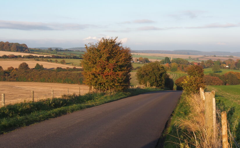Trees in the Landscape: Guidance for enhancing landscape character through appropriate tree planting and management</h1><h2 class='entry-subtitle'>For Cranborne Chase National Landscape, 2025</h2>