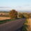 Trees in the Landscape: Guidance for enhancing landscape character through appropriate tree planting and management